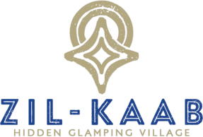 main logo color